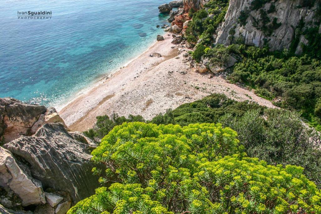 Appartamento Oleandro Cala Gonone Εξωτερικό φωτογραφία